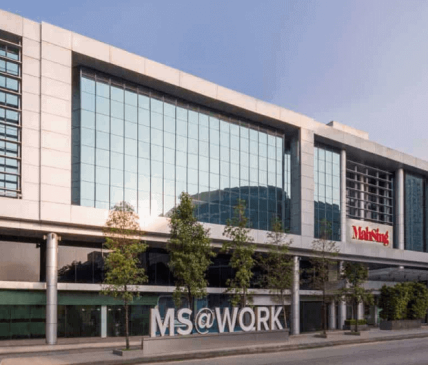 MS-Corporate-Info-facade